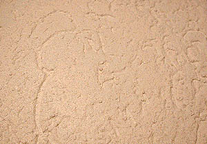 Münchener Rauputz kreisförmig gerieben aufgetragen